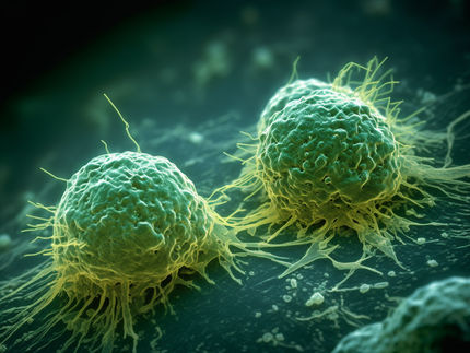 Una nueva fuente sostenible de un prometedor anticancerígeno