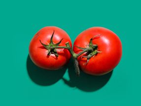 Discovering a Lost Tomato Variety: Scientists Uncover Key to Delicious Tomatoes