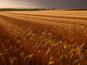 Russland droht mit Ende des Getreideabkommens im Mai