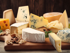 Bel und Climax Foods, Inc. verkünden Partnerschaft zur Entwicklung innovativer Käsesorten auf pflanzlicher Basis, die von Milchkäse nicht zu unterscheiden sind, unterstützt durch AI