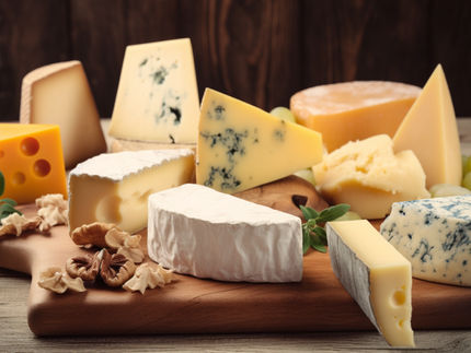 Bel et Climax Foods, Inc. annoncent un partenariat en vue d'innover dans le domaine des fromages végétaux de pointe, indiscernables des fromages laitiers, grâce à l'IA