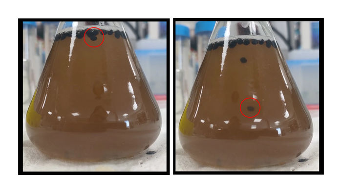 Adapted from ACS Nano 2023, DOI: 10.1021/acsnano.2c12677