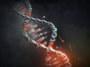 Verborgener RNA-Reparaturmechanismus beim Menschen entdeckt