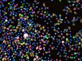 How can we fight blood cancer more effectively?