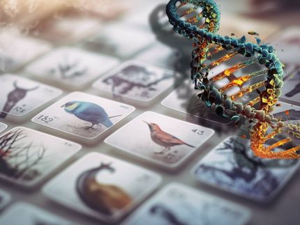 Anspruchsvolles Gen-Memory: Methode zum genetischen Vergleich hunderter Tierarten entwickelt