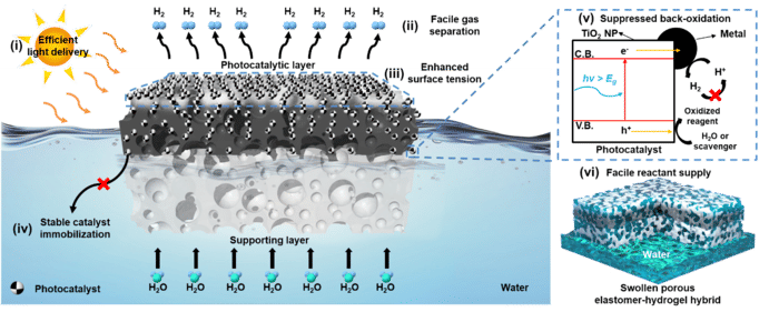 Neues Hydrogel-Nanokomposit für die Massenproduktion von Wasserstoff - "Diese Studie stellt einen großen Fortschritt auf dem Gebiet der Photokatalyse dar und zeigt das Potenzial der grünen Wasserstoffproduktion auf See mit einer Leistung von Weltklasse"