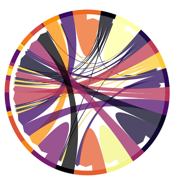 Systematic depiction of previously unknown gene functions - Largest cellular proteomic study of yeast cells unlocks fundamental insights