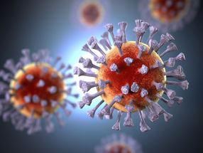 Occludin protein plays key role in spread of coronavirus throughout body’s cells