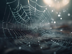 Ouvrir la voie à la médecine régénérative : propriétés cellulaires spécifiques des nouveaux matériaux en soie d'araignée