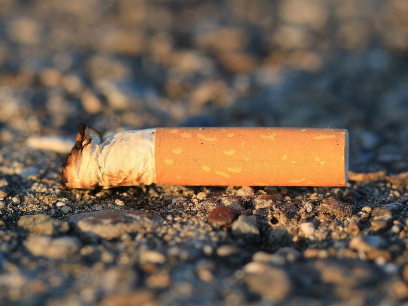 Zigarettenstummel geben tödliche Giftstoffe an die Umwelt ab