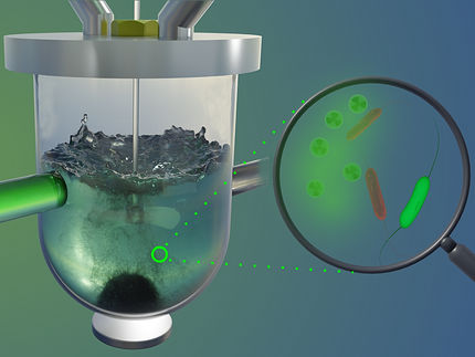 Las bacterias magnéticas pueden ayudar a extraer metales pesados peligrosos de las aguas residuales