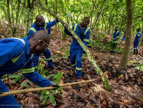 Barry Callebaut sharpens sustainability targets