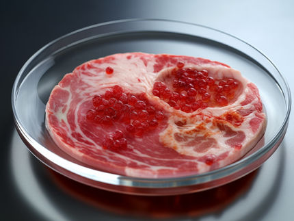 Neuer Fleischskandal bei Lidl: Krankheitserreger auf Lidl-Fleisch nachgewiesen