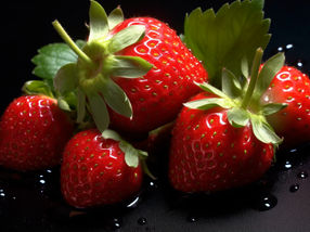 Importierte Erdbeeren: Warum warten wir nicht auf die Saison?