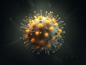 Infektion mit Erkältungs-Coronaviren kann breite Kreuzimmunität gegen SARS-CoV-2-Proteine auslösen