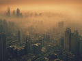 Fine particulate matter catalyzes oxidative stress in the lungs