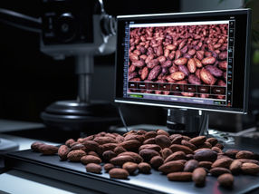Pruebas de calidad del cacao crudo con IA