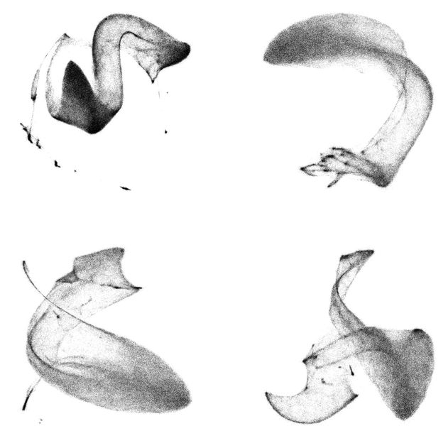 MPI of Molecular Physiology