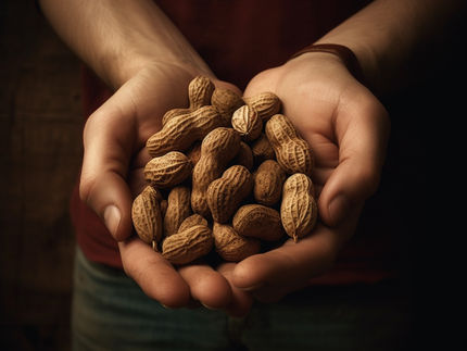 Research success: help for children with peanut allergy