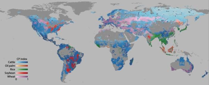 Viejo mapa motivos agricolas