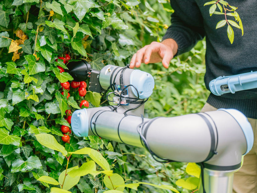 The tomato-harvesting robot - ChatGPT designs its first robot with TU Delft researchers