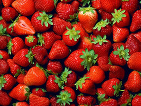 foodwatch und Campact fordern Verkaufsstopp für Dürre-Erdbeeren aus Spanien