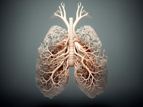 Primer atlas unicelular integrado del pulmón humano