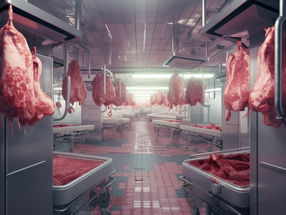 Plantas de procesamiento de carne: ¿Qué factores son críticos para la supervivencia?