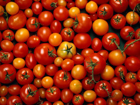 Vegetable consumption: 27 percent are tomatoes