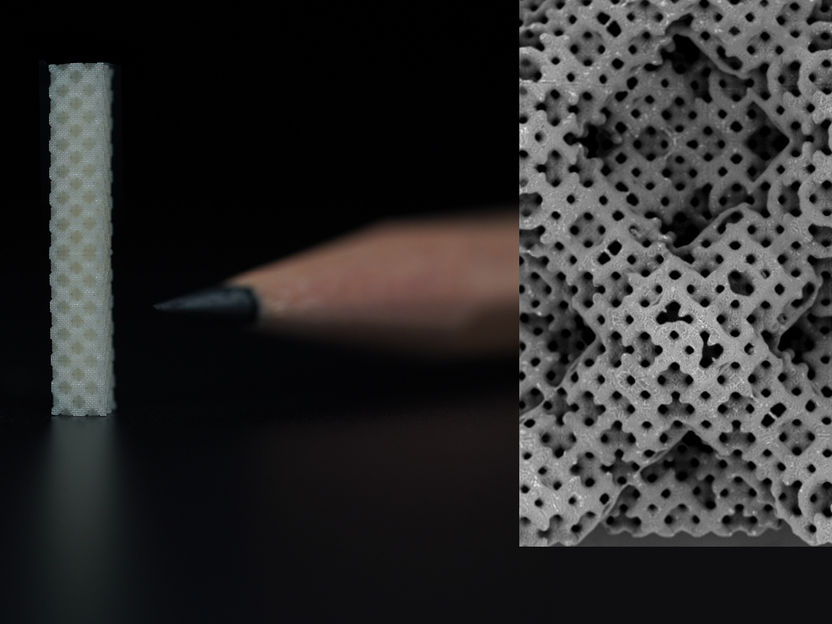 Bioprinting of Highly Complex Structures Now Possible - Cooperation of UpNano and BIO INX yields further advancement: Two-stage 3D-printing of organ-on-chip devices with encapsulated live cells is possible