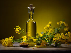 Rapeseed oil remains most popular cooking oil