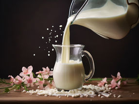 Trotz ökologischer Kompromisse ist Milch ein wichtiges Bindeglied mit geringen Auswirkungen auf die globale Ernährung