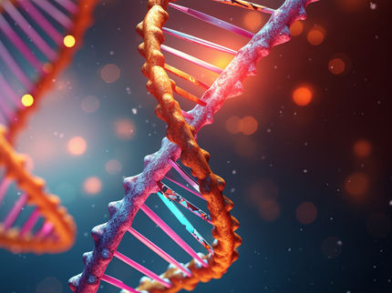 Extreme DNA resolution: Researchers slow down and scan multiple times individual DNA molecules