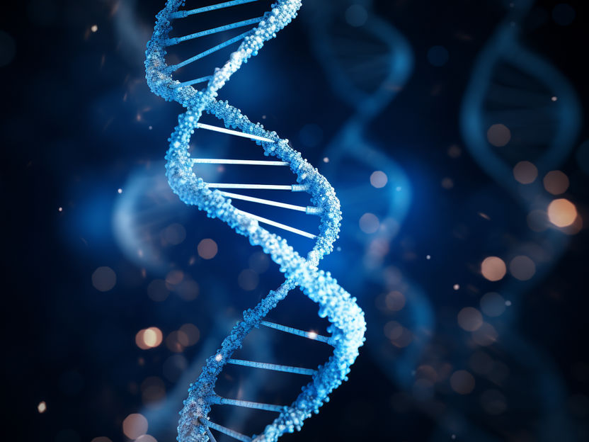 DNA Organization in Real-Time - How the motion of DNA controls gene activity