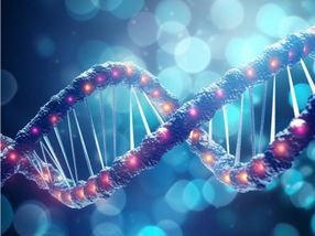 Zelltherapie trifft neuestes Gene-Editing: Start-up Cimeio kooperiert mit Prime Medicine