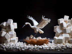 New Discovery: Toward sugar origami