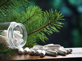 Scientists make common pain killers from pine trees instead of crude oil