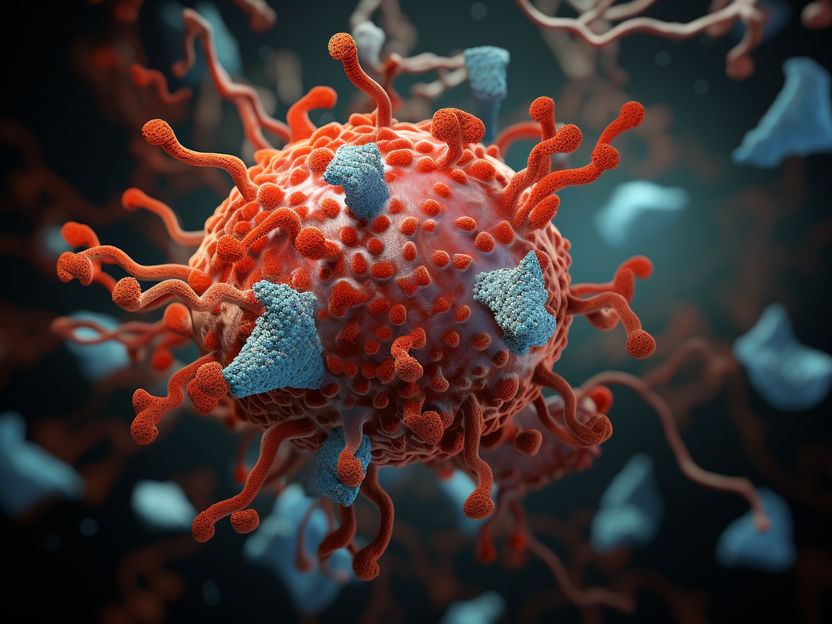 Fintetuning for antibodies - The strength of the immune reaction triggered by antibodies can be regulated