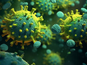 Un vaccin vectoriel à base de rougeole protège les souris contre le virus de la grippe A (H7N9)