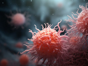Los armeros: Cómo las células dendríticas activan el sistema inmunitario
