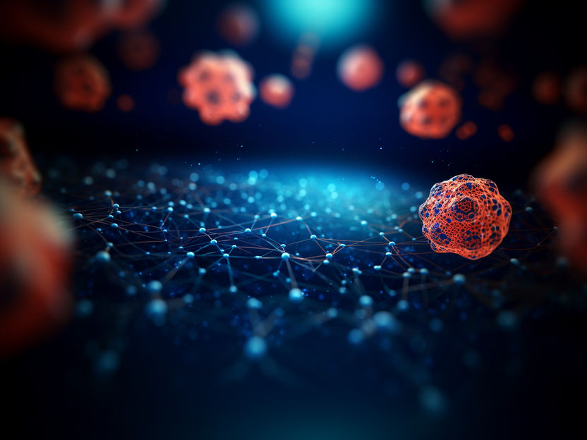 Analyse quantitative des organites cellulaires grâce à l'intelligence artificielle - L'analyse des données de cryo-microscopie X-Ray demande encore beaucoup de temps : L'IA identifie désormais les structures avec une grande précision en quelques minutes