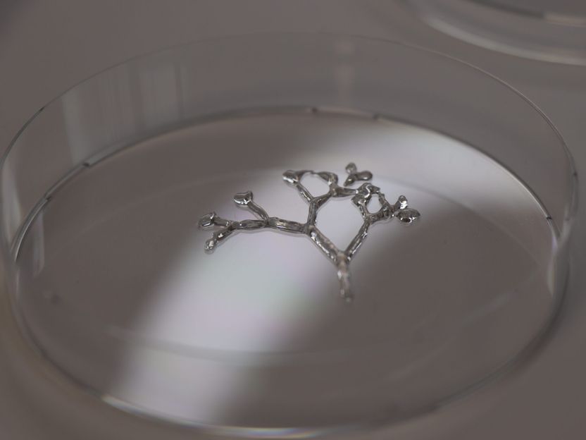 Des "encres humaines" pour l'impression 3D de tissus humains - Bioprintine 3D sans animaux : le projet HU3DINKS réunit des entreprises expertes