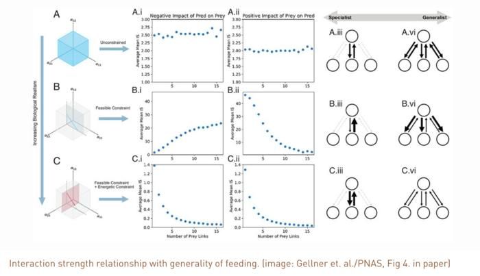 image: Gellner et. al./PNAS, Fig 4. in paper