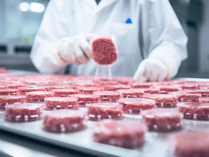 Aleph Farms soumet la toute première demande de viande cultivée en Europe