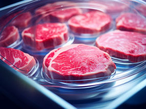 Erster Zulassungsantrag für zellkultiviertes Fleisch in Europa: ProVeg reagiert