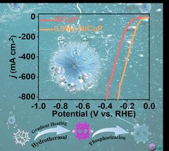 Nanoneedles formed on an electrocatalyst improve hydrogen production