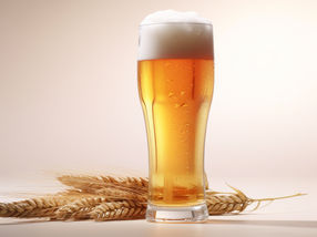 Produktion von alkoholfreiem Bier in den letzten zehn Jahren um 96 % gestiegen