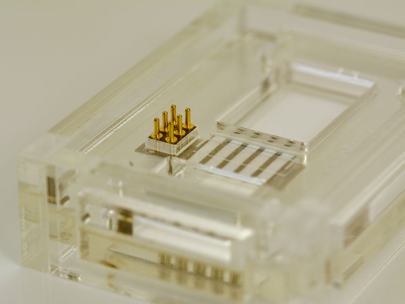 Desarrollan un dispositivo en papel para el diagnóstico rápido de enfermedades pulmonares - Investigadores del CSIC han coordinado el diseño de un instrumento que combina microfluídica en papel y transducción electroquímica