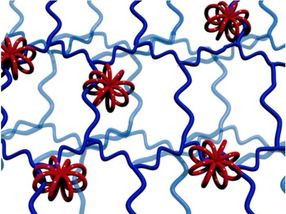 Multicyclic molecular wheels with polymer potential