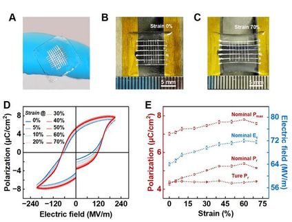 El material ferroeléctrico es ahora elástico